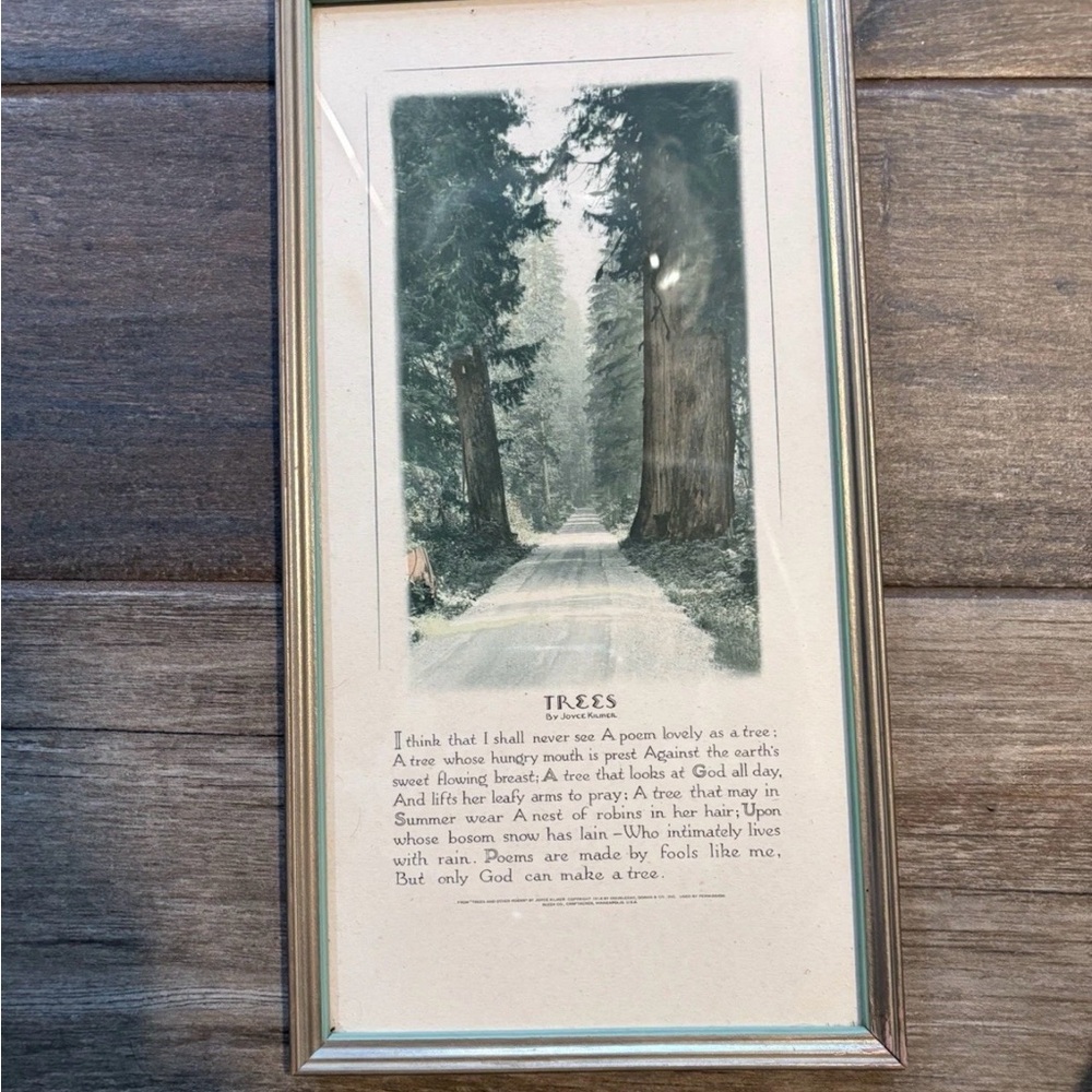 Vintage “Trees” Poem By Joyce Kilmer Framed Buzza Co Print Two Tone Frame - Picture 3 of 8